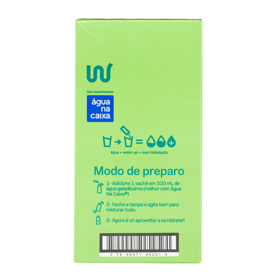 Water Up - Repositor de Eletrólitos - Limão - 12un
